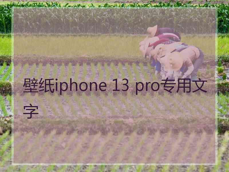 壁纸iphone 13 pro专用文字