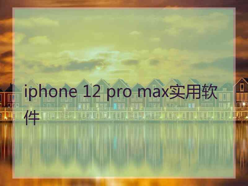 iphone 12 pro max实用软件