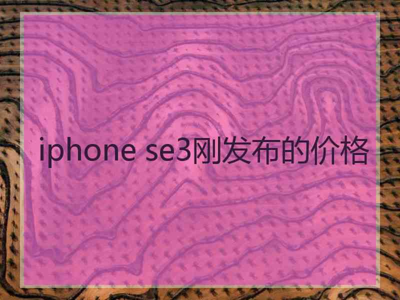 iphone se3刚发布的价格