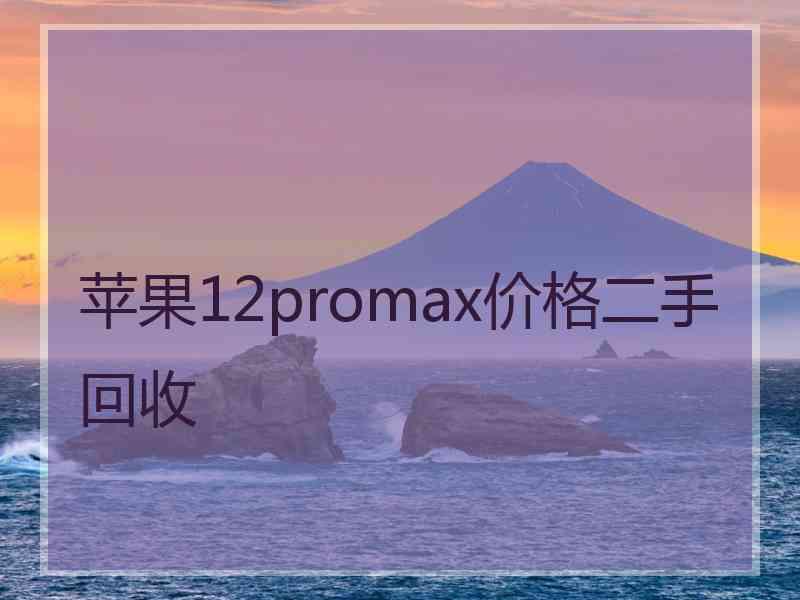 苹果12promax价格二手回收