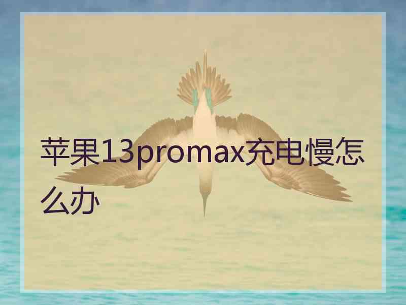 苹果13promax充电慢怎么办