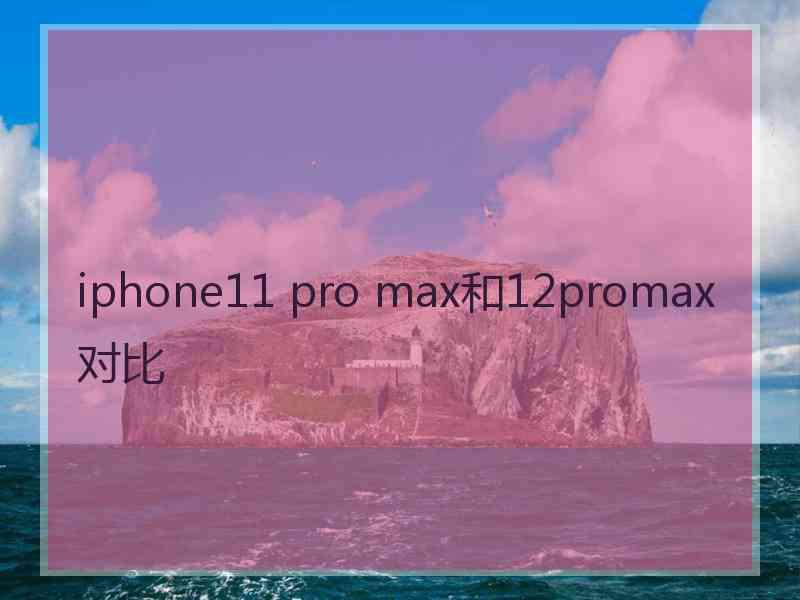 iphone11 pro max和12promax对比