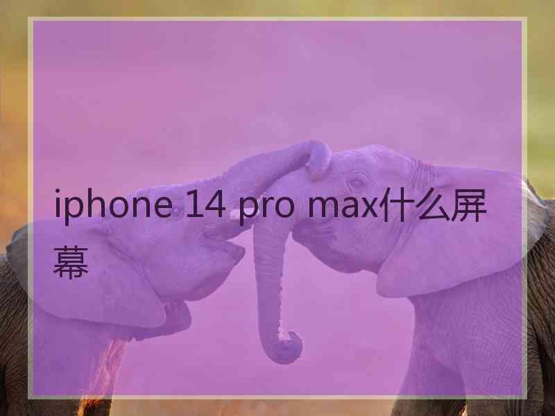 iphone 14 pro max什么屏幕