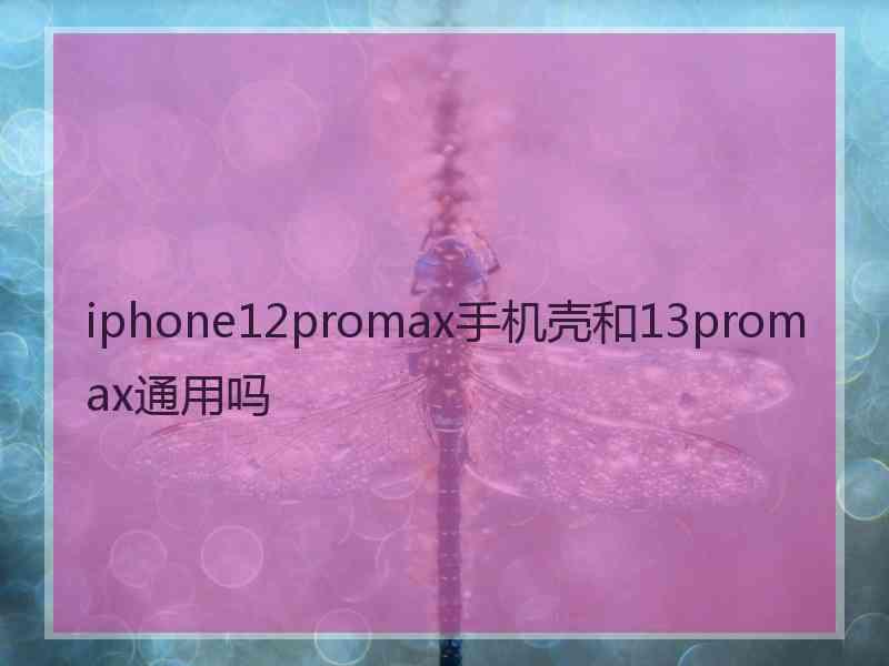 iphone12promax手机壳和13promax通用吗