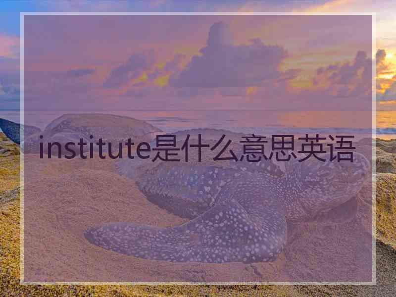 institute是什么意思英语