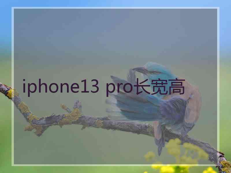 iphone13 pro长宽高