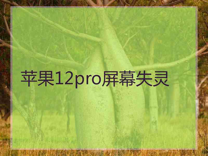 苹果12pro屏幕失灵