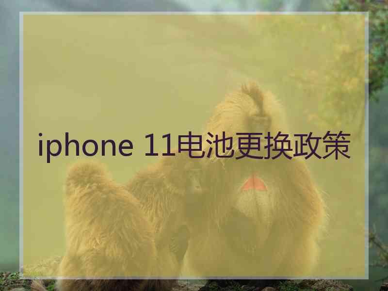 iphone 11电池更换政策