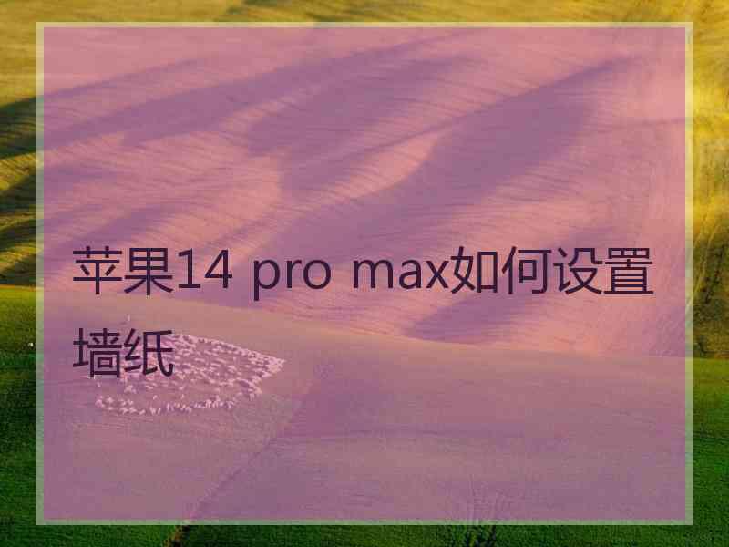 苹果14 pro max如何设置墙纸