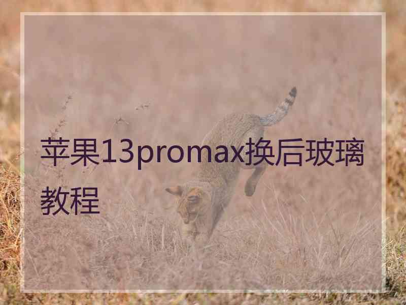 苹果13promax换后玻璃教程