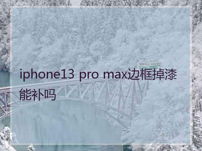 iphone13 pro max边框掉漆能补吗