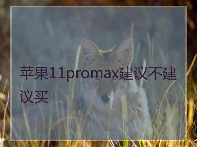 苹果11promax建议不建议买