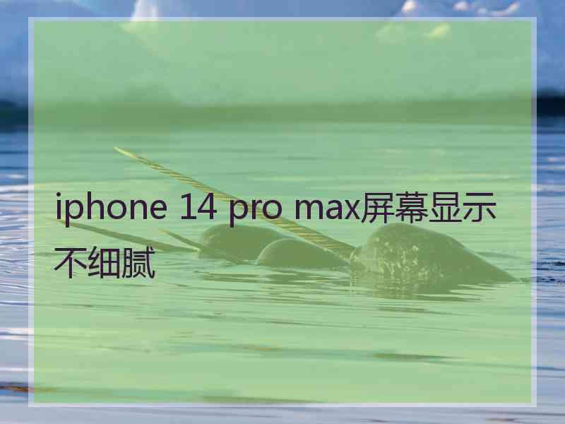 iphone 14 pro max屏幕显示不细腻