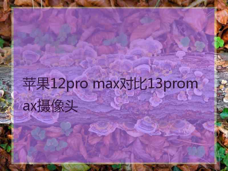 苹果12pro max对比13promax摄像头