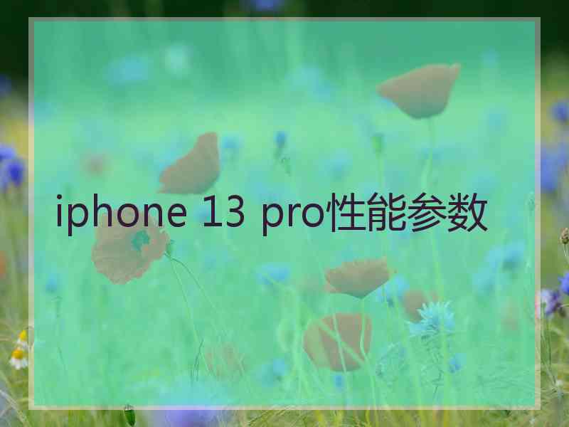 iphone 13 pro性能参数