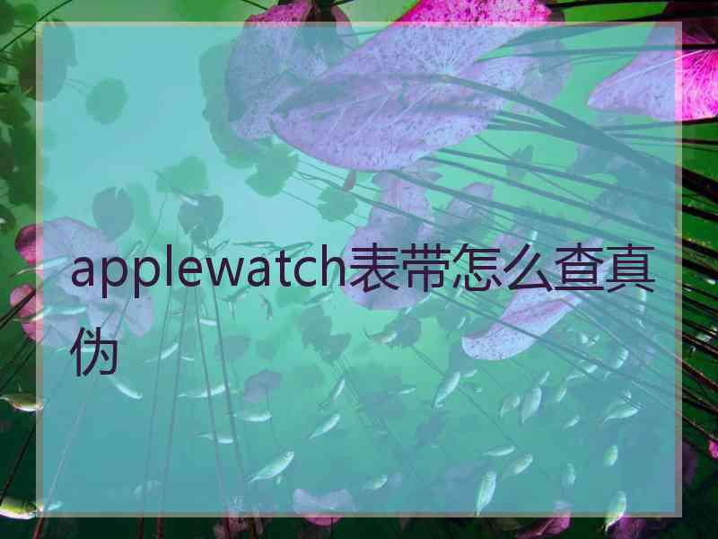 applewatch表带怎么查真伪