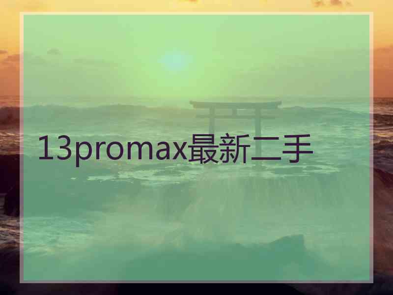 13promax最新二手