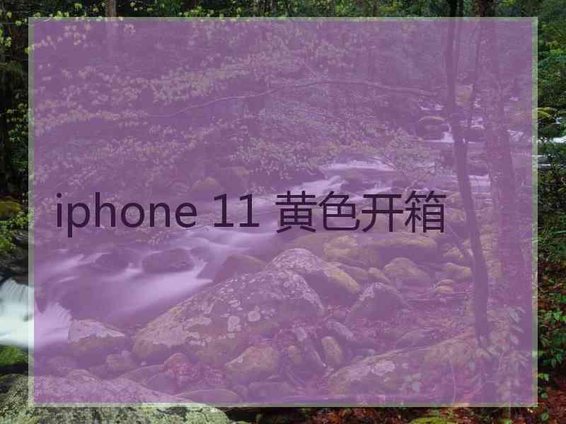 iphone 11 黄色开箱