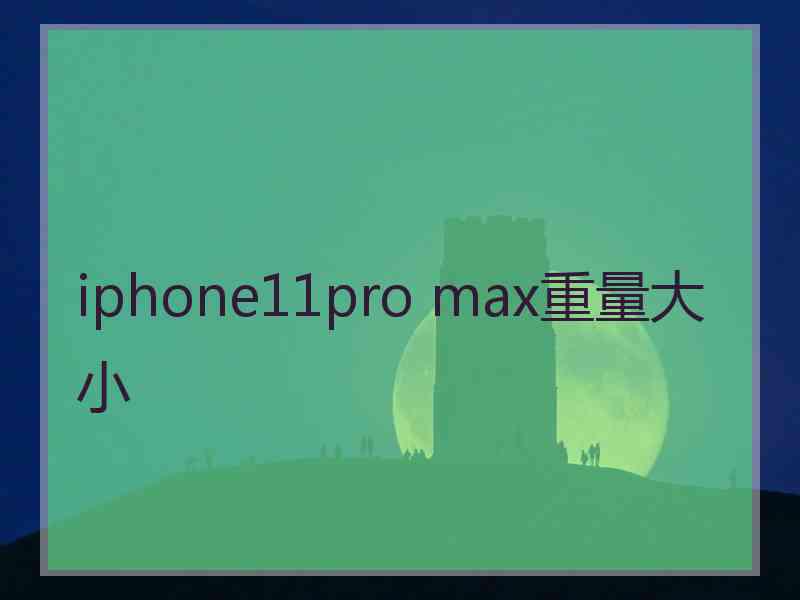 iphone11pro max重量大小