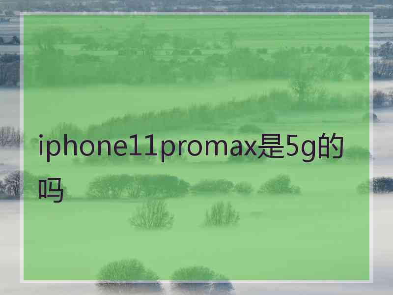 iphone11promax是5g的吗