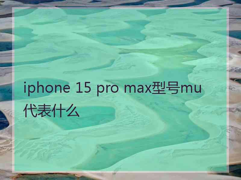 iphone 15 pro max型号mu代表什么