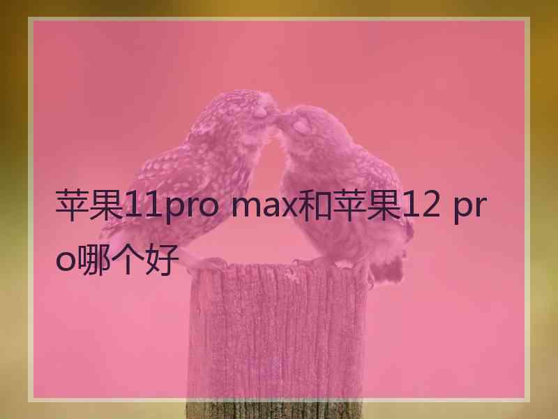 苹果11pro max和苹果12 pro哪个好