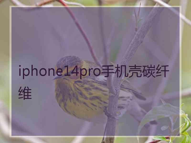 iphone14pro手机壳碳纤维