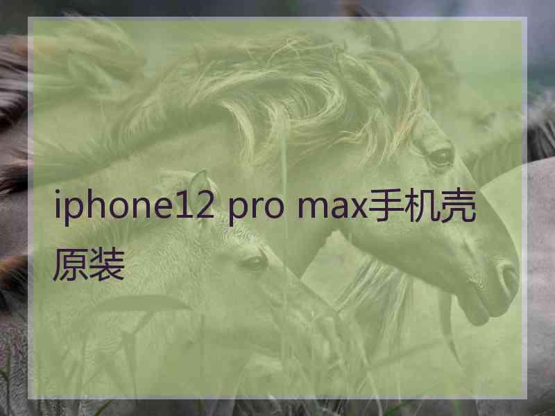 iphone12 pro max手机壳原装