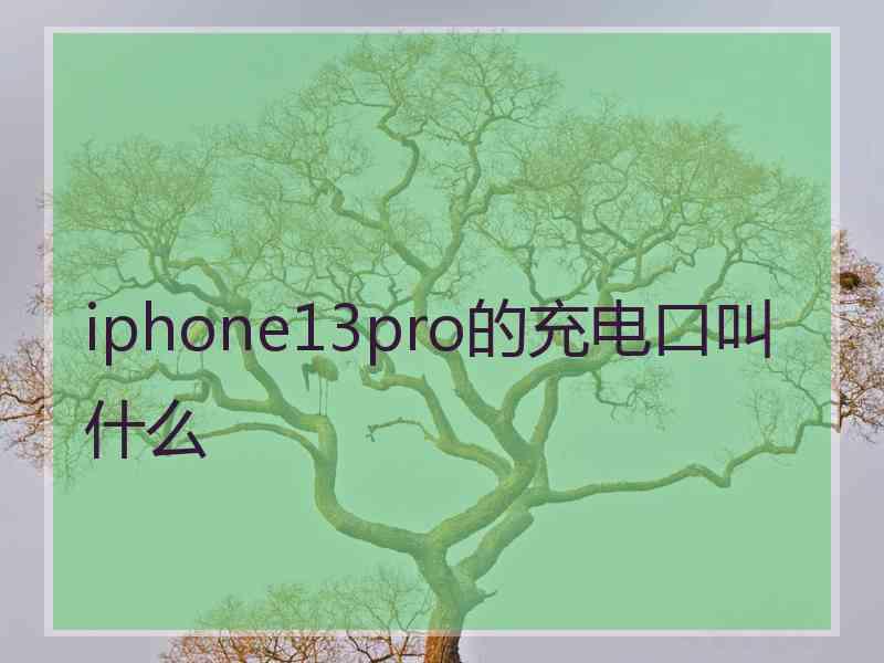 iphone13pro的充电口叫什么