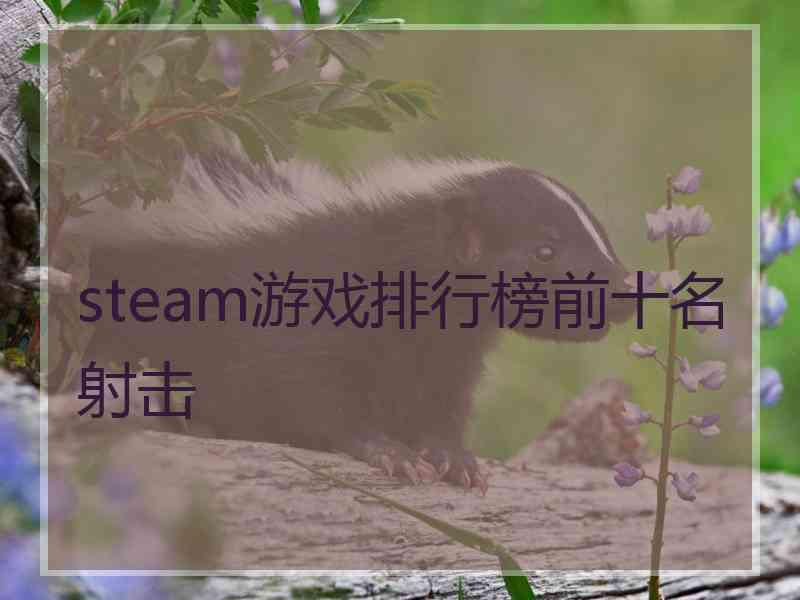 steam游戏排行榜前十名射击