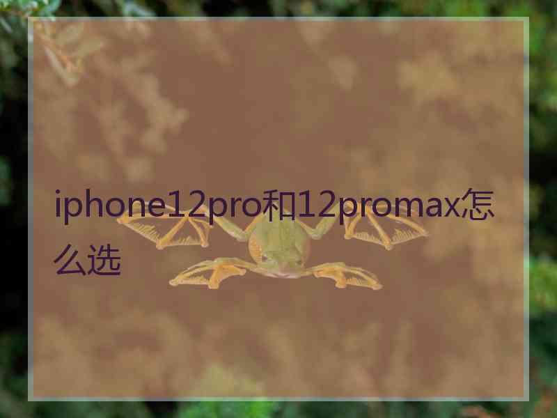 iphone12pro和12promax怎么选