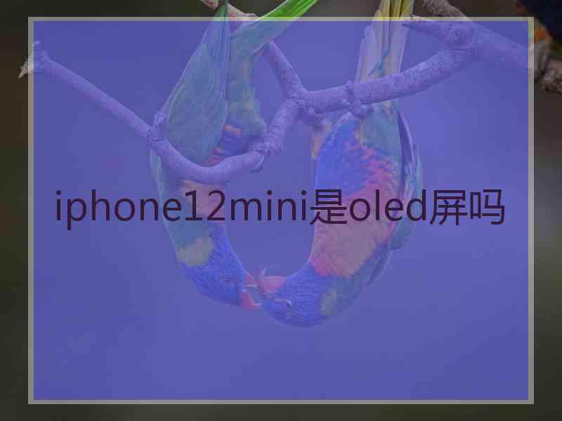 iphone12mini是oled屏吗