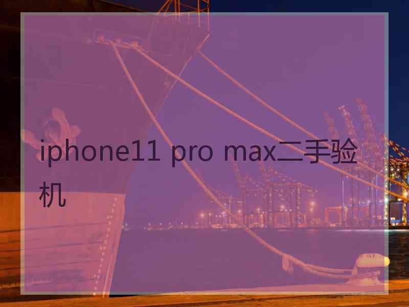 iphone11 pro max二手验机