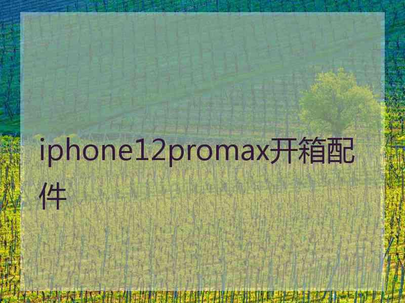 iphone12promax开箱配件