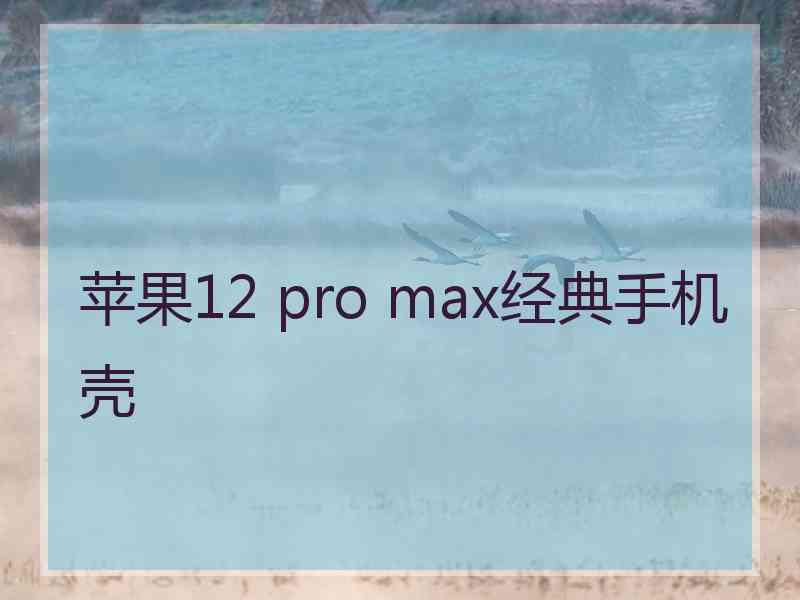 苹果12 pro max经典手机壳