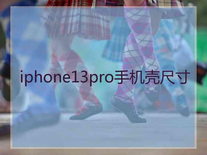 iphone13pro手机壳尺寸