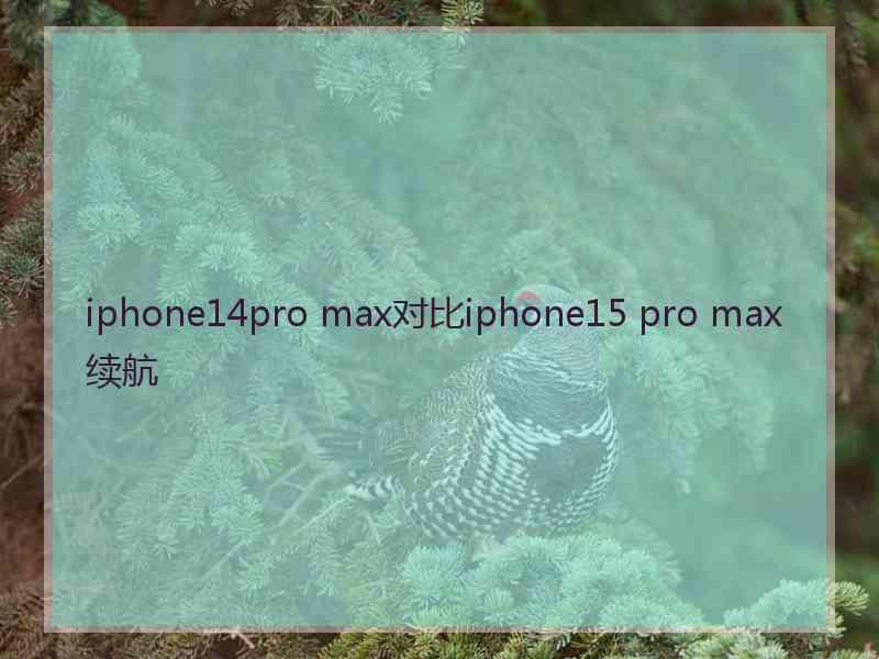 iphone14pro max对比iphone15 pro max续航