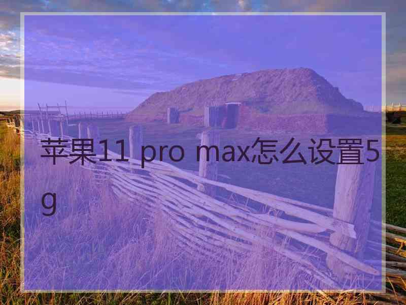 苹果11 pro max怎么设置5g