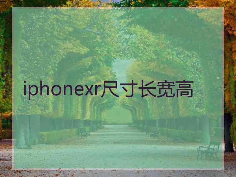 iphonexr尺寸长宽高