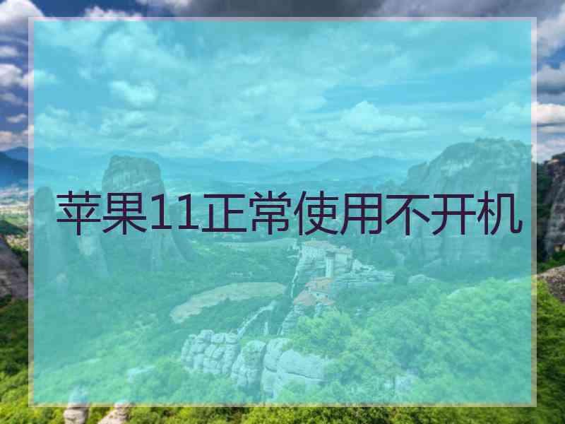 苹果11正常使用不开机