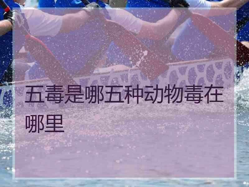 五毒是哪五种动物毒在哪里