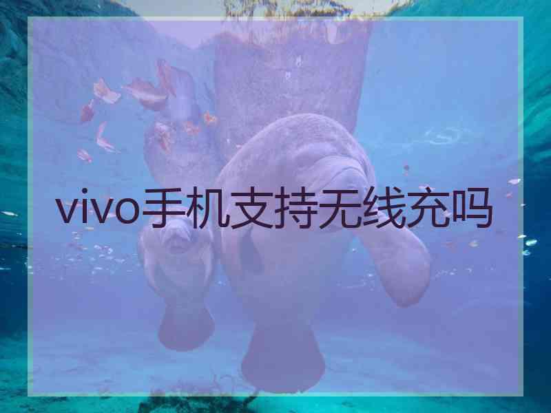 vivo手机支持无线充吗