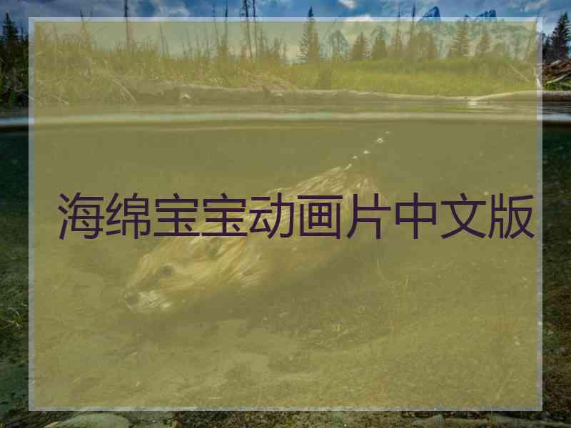 海绵宝宝动画片中文版