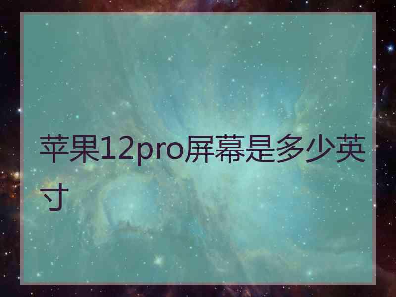 苹果12pro屏幕是多少英寸