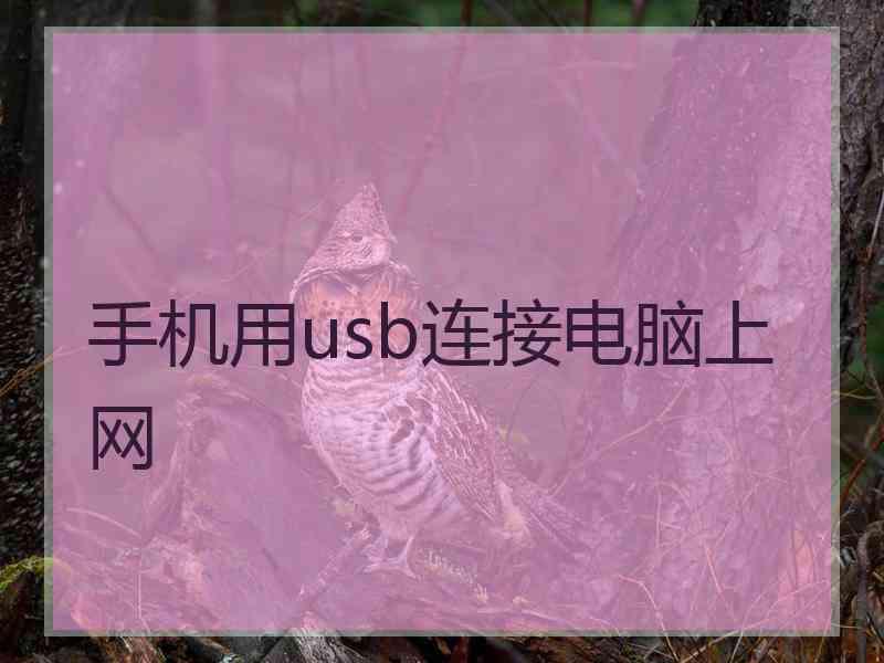 手机用usb连接电脑上网