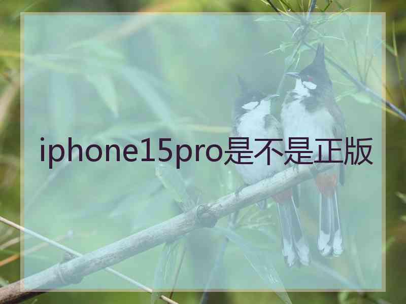 iphone15pro是不是正版