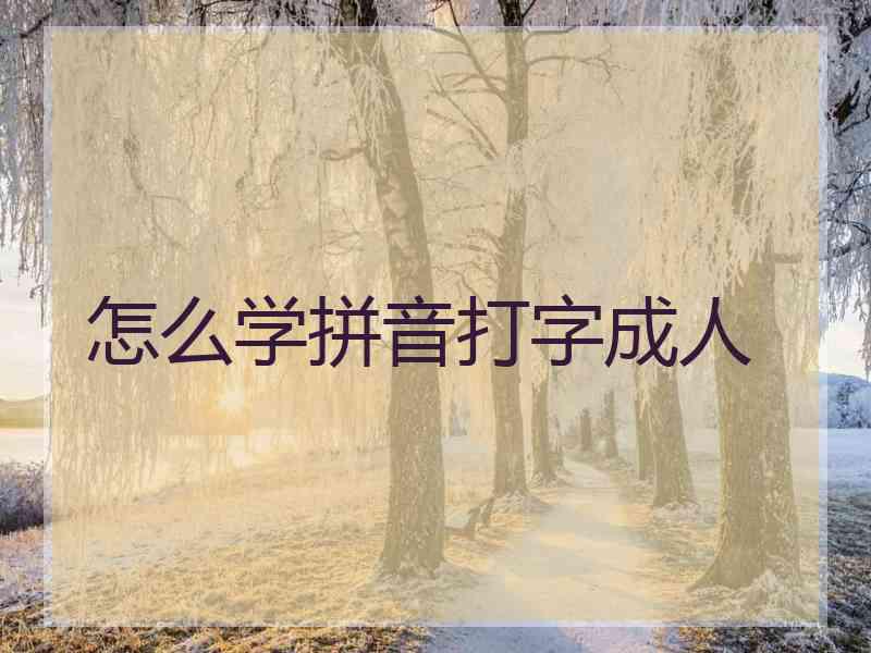 怎么学拼音打字成人