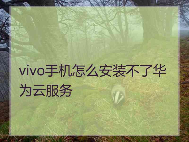 vivo手机怎么安装不了华为云服务