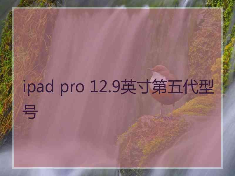 ipad pro 12.9英寸第五代型号