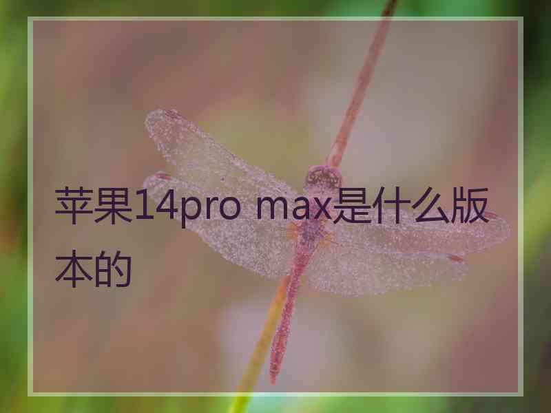 苹果14pro max是什么版本的